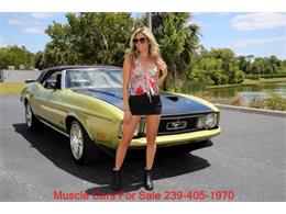 1973 Ford Mustang (CC-2068947) for sale in Fort Myers, Florida