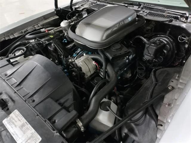 1979 Pontiac Firebird Trans Am (CC-2068991) for sale in  Puslinch, Ontario