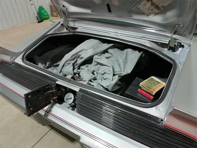 1979 Pontiac Firebird Trans Am (CC-2068991) for sale in  Puslinch, Ontario