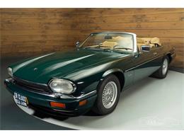 1994 Jaguar XJS (CC-2069033) for sale in Waalwijk, Noord Brabant
