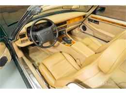1994 Jaguar XJS (CC-2069033) for sale in Waalwijk, Noord Brabant