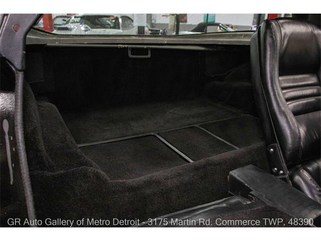 1979 Chevrolet Corvette (CC-2069035) for sale in Kentwood, Michigan