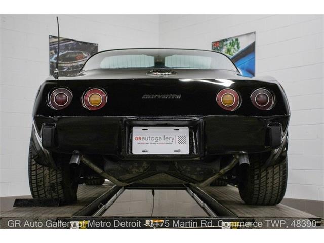 1979 Chevrolet Corvette (CC-2069035) for sale in Kentwood, Michigan