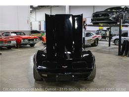 1979 Chevrolet Corvette (CC-2069035) for sale in Kentwood, Michigan