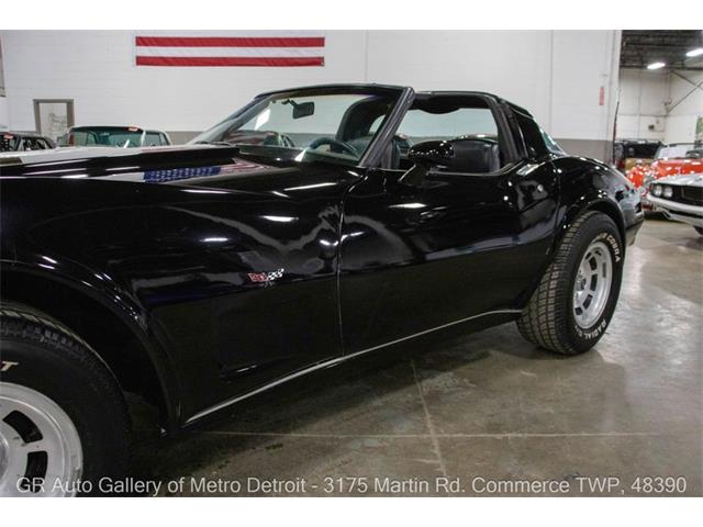 1979 Chevrolet Corvette (CC-2069035) for sale in Kentwood, Michigan