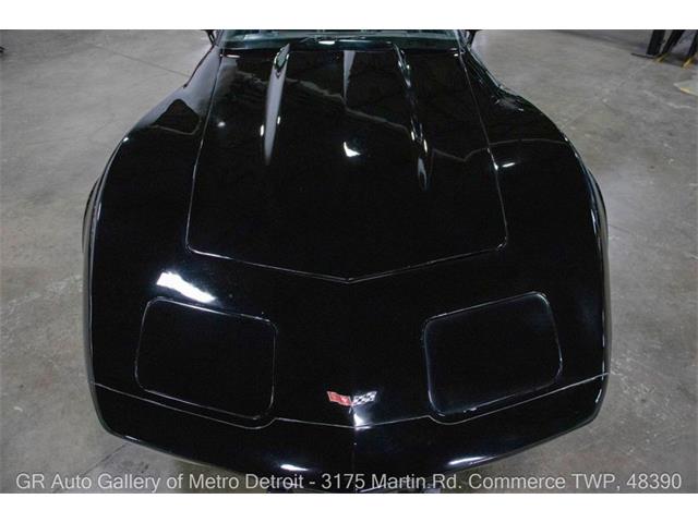 1979 Chevrolet Corvette (CC-2069035) for sale in Kentwood, Michigan