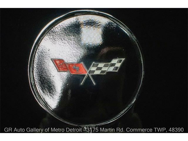 1979 Chevrolet Corvette (CC-2069035) for sale in Kentwood, Michigan