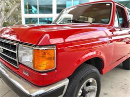 1989 Ford Bronco (CC-2069092) for sale in Bradenton, Florida