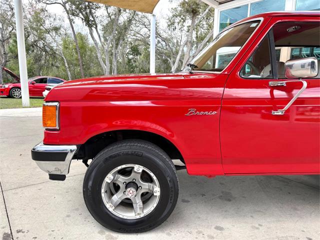 1989 Ford Bronco (CC-2069092) for sale in Bradenton, Florida
