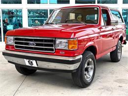 1989 Ford Bronco (CC-2069092) for sale in Bradenton, Florida