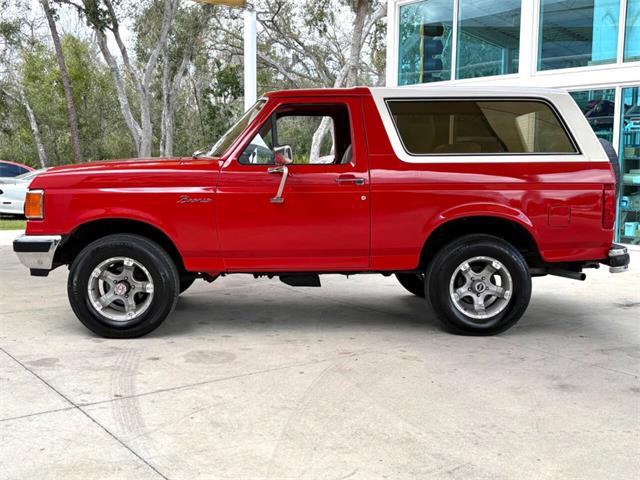 1989 Ford Bronco (CC-2069092) for sale in Bradenton, Florida