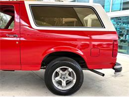 1989 Ford Bronco (CC-2069092) for sale in Bradenton, Florida
