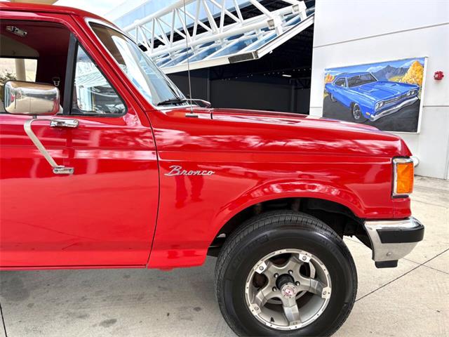 1989 Ford Bronco (CC-2069092) for sale in Bradenton, Florida