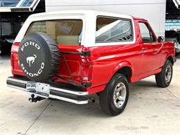 1989 Ford Bronco (CC-2069092) for sale in Bradenton, Florida