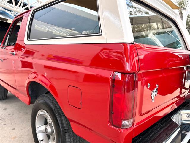 1989 Ford Bronco (CC-2069092) for sale in Bradenton, Florida