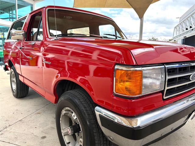 1989 Ford Bronco (CC-2069092) for sale in Bradenton, Florida