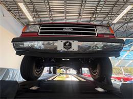 1989 Ford Bronco (CC-2069092) for sale in Bradenton, Florida