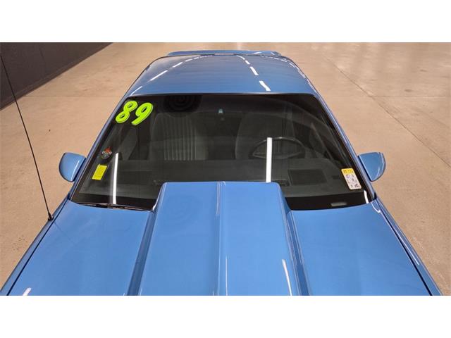 1989 Pontiac Firebird (CC-2069093) for sale in Mankato, Minnesota
