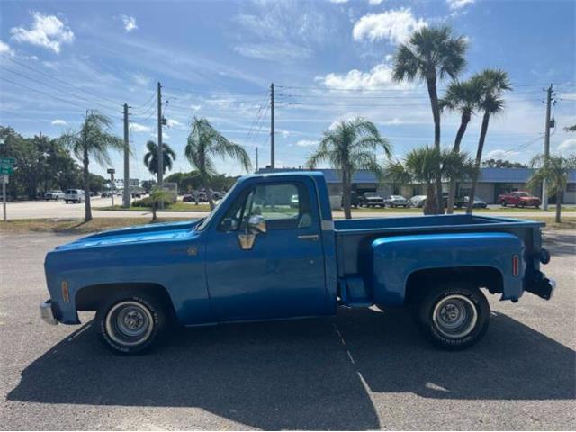 1976 Chevrolet C10 (CC-2069097) for sale in Cadillac, Michigan