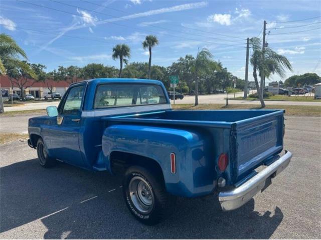 1976 Chevrolet C10 (CC-2069097) for sale in Cadillac, Michigan