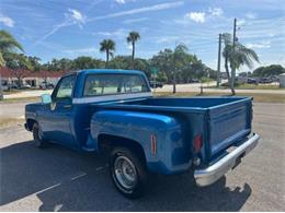 1976 Chevrolet C10 (CC-2069097) for sale in Cadillac, Michigan