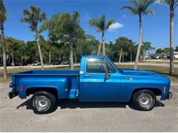 1976 Chevrolet C10 (CC-2069097) for sale in Cadillac, Michigan