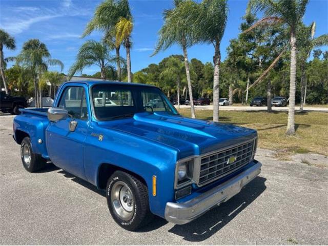 1976 Chevrolet C10 (CC-2069097) for sale in Cadillac, Michigan