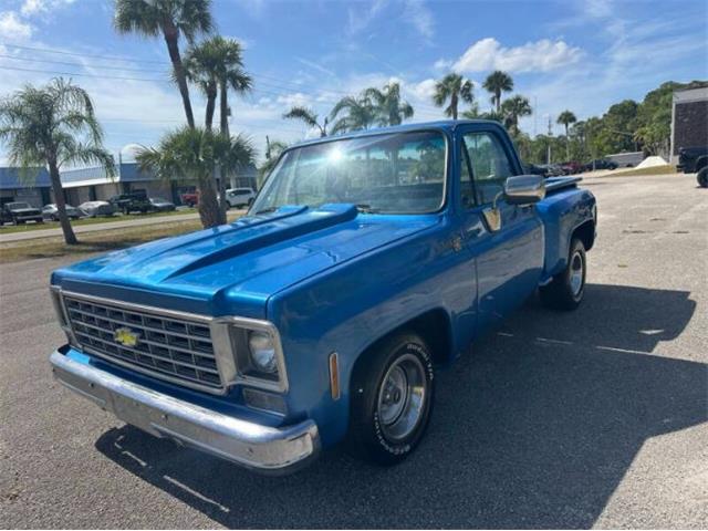1976 Chevrolet C10 (CC-2069097) for sale in Cadillac, Michigan