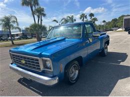 1976 Chevrolet C10 (CC-2069097) for sale in Cadillac, Michigan