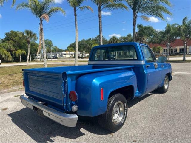 1976 Chevrolet C10 (CC-2069097) for sale in Cadillac, Michigan