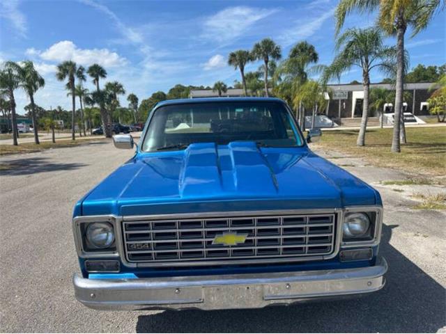 1976 Chevrolet C10 (CC-2069097) for sale in Cadillac, Michigan