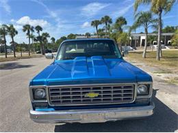 1976 Chevrolet C10 (CC-2069097) for sale in Cadillac, Michigan