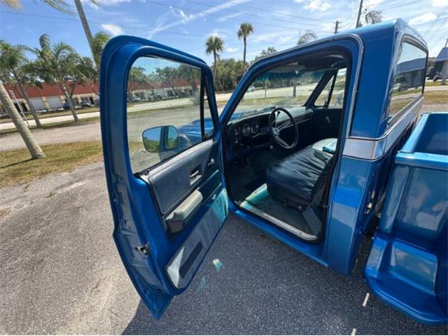 1976 Chevrolet C10 (CC-2069097) for sale in Cadillac, Michigan