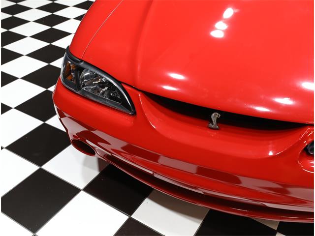 1997 Ford Mustang SVT Cobra (CC-2069104) for sale in Addison, Illinois
