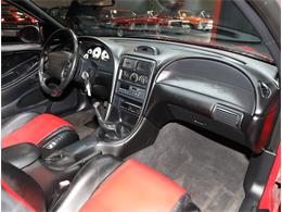 1997 Ford Mustang SVT Cobra (CC-2069104) for sale in Addison, Illinois
