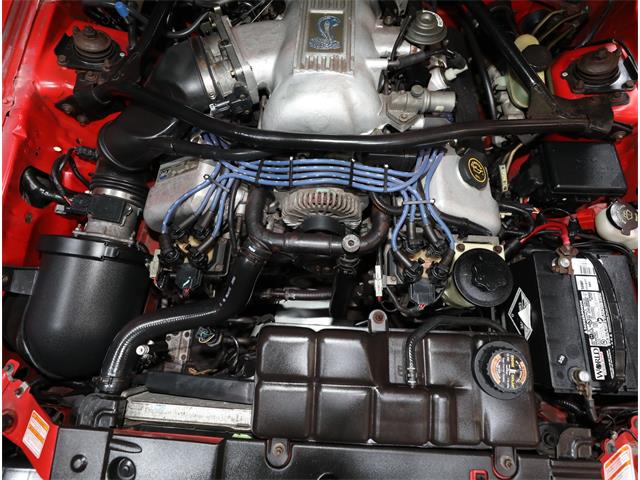 1997 Ford Mustang SVT Cobra (CC-2069104) for sale in Addison, Illinois