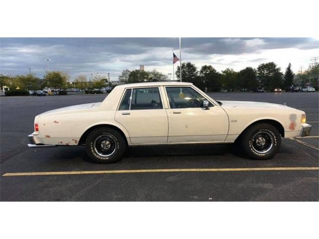 1990 Chevrolet Caprice (CC-2069126) for sale in Cadillac, Michigan