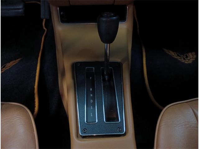 1979 Pontiac Firebird (CC-2069141) for sale in North East, Pennsylvania