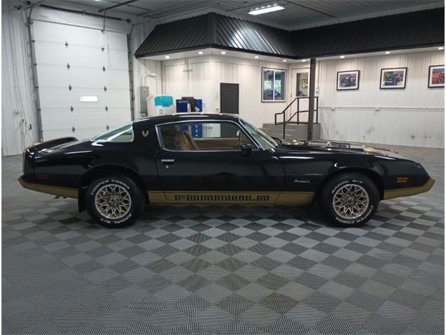 1979 Pontiac Firebird (CC-2069141) for sale in North East, Pennsylvania