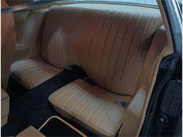 1979 Pontiac Firebird (CC-2069141) for sale in North East, Pennsylvania