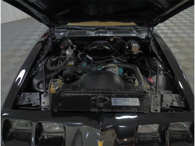1979 Pontiac Firebird (CC-2069141) for sale in North East, Pennsylvania