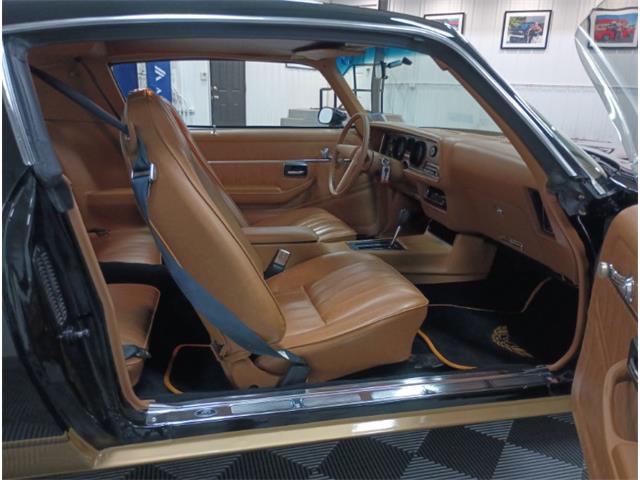 1979 Pontiac Firebird (CC-2069141) for sale in North East, Pennsylvania