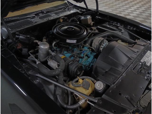 1979 Pontiac Firebird (CC-2069141) for sale in North East, Pennsylvania
