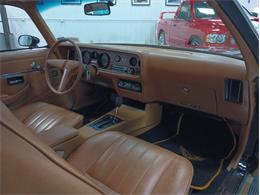 1979 Pontiac Firebird (CC-2069141) for sale in North East, Pennsylvania
