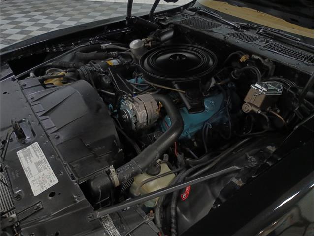 1979 Pontiac Firebird (CC-2069141) for sale in North East, Pennsylvania