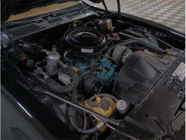 1979 Pontiac Firebird (CC-2069141) for sale in North East, Pennsylvania
