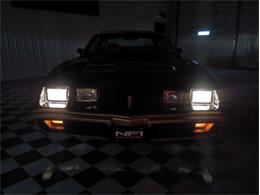 1979 Pontiac Firebird (CC-2069141) for sale in North East, Pennsylvania