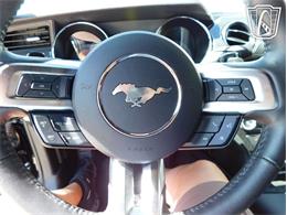 2017 Ford Mustang (CC-2069144) for sale in Concord, North Carolina