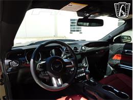 2017 Ford Mustang (CC-2069144) for sale in Concord, North Carolina