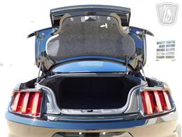 2017 Ford Mustang (CC-2069144) for sale in Concord, North Carolina